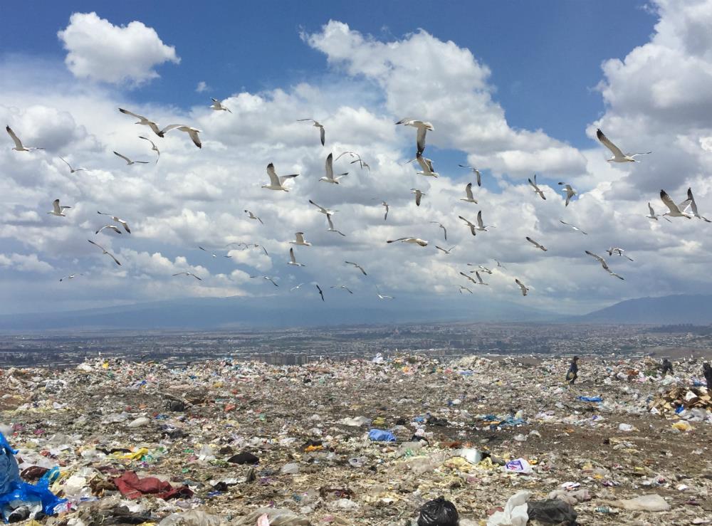 Residents of the Yerevan garbage dump
