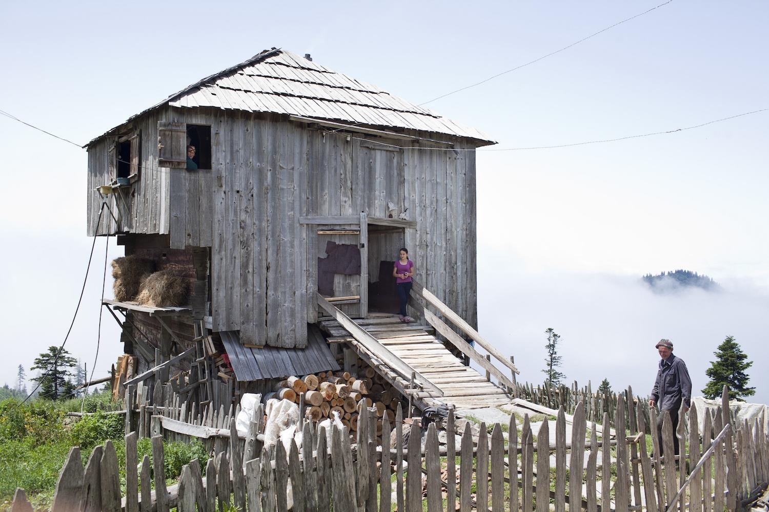 Daro Sulakauri. Early marriages in Georgia