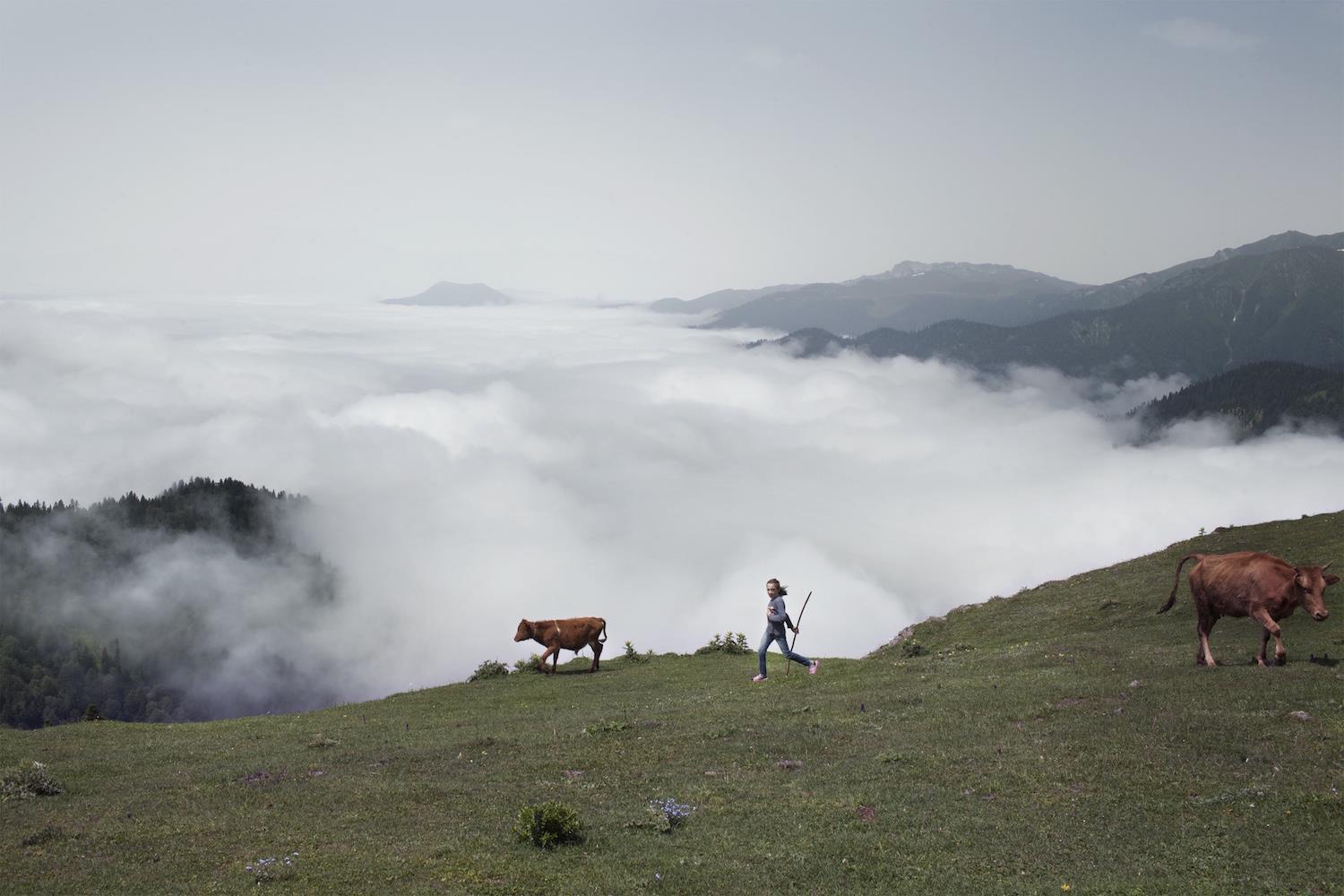 Daro Sulakauri. Early marriages in Georgia