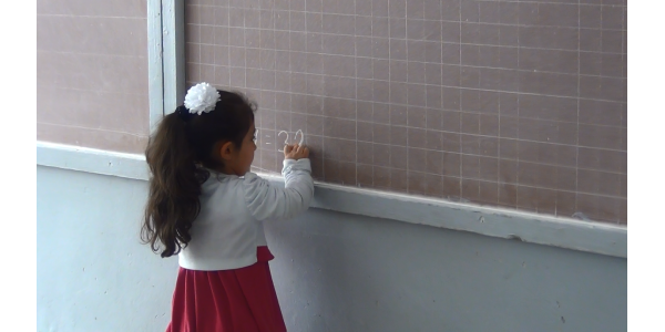 Inclusive education in Armenia