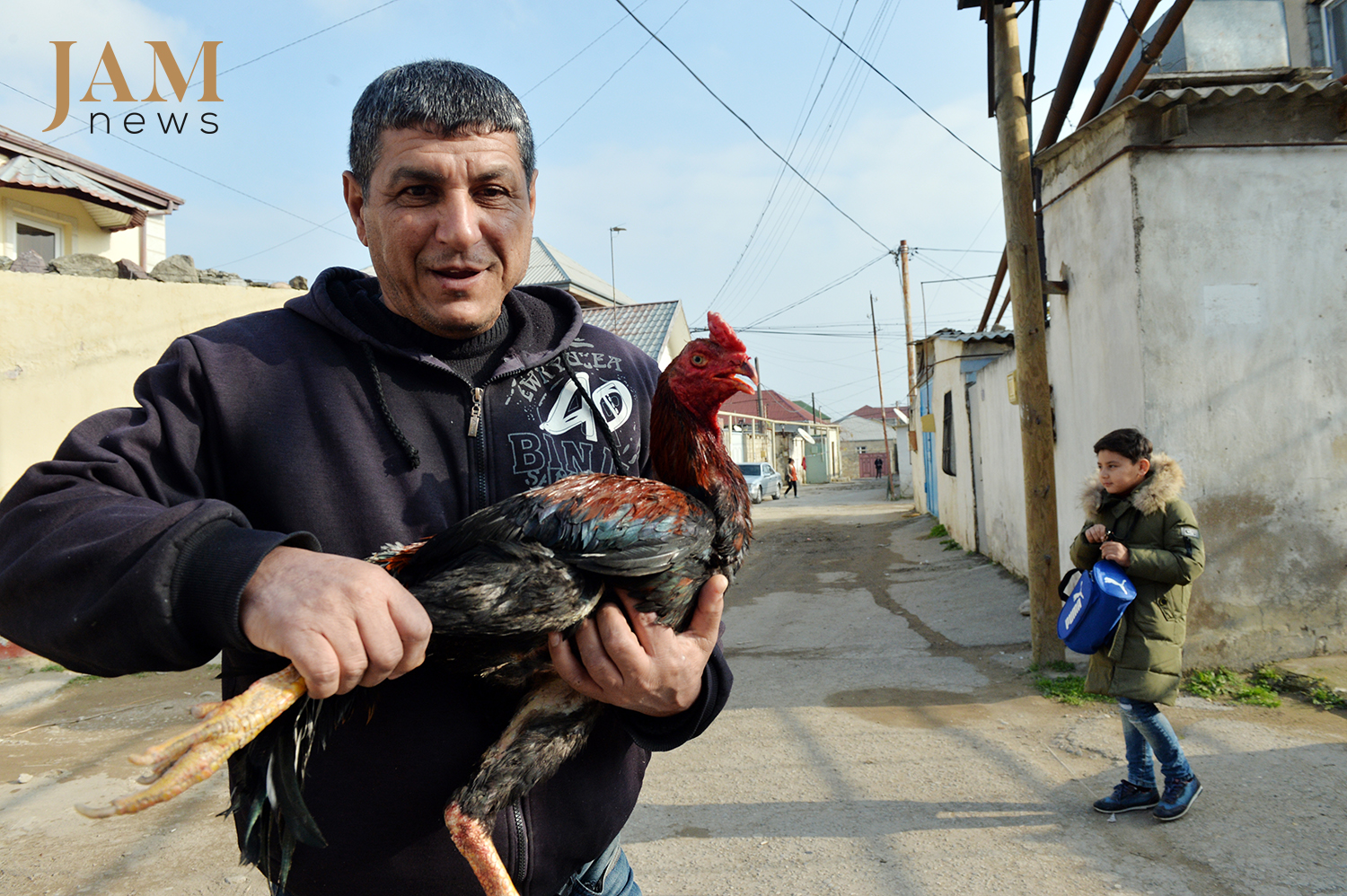 Баладжары, фото JAMnews. Петушиные бои в Азербайджане