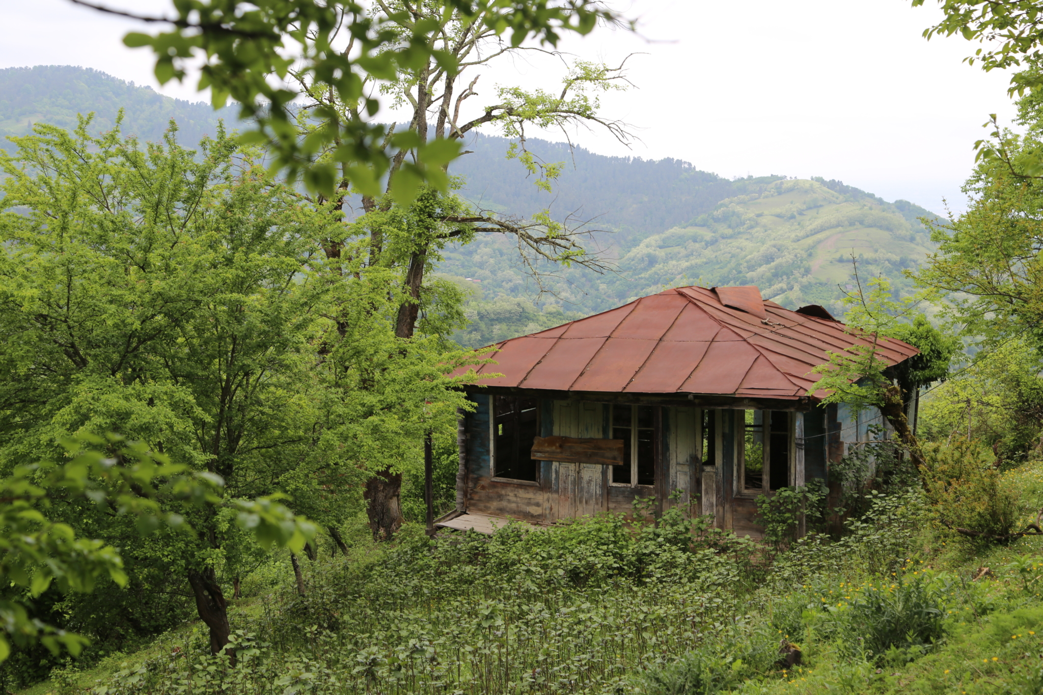 Брошеный дом в деревне Гадиди. Фото: Текле Моргошиа. Высокогорные села в Грузии пустеют
