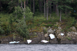 Массовый убийца Андерс Беринг Брейвик 23 июля 2011 года напал на молодежный летний лагерь на берегу острова Утоя в Норвегии и убил 69 молодых людей