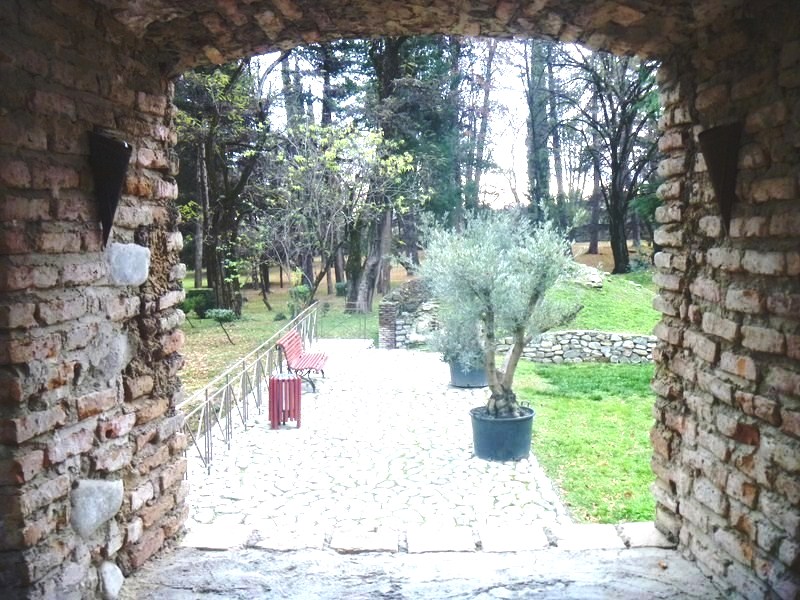Another-view-of-the-garden