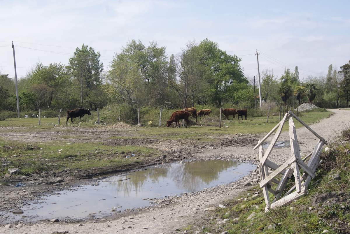 The number of crossing points on the Georgian-Abkhazian border were cut down 