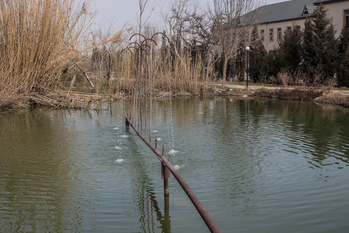 Mental asylums in Azerbaijan