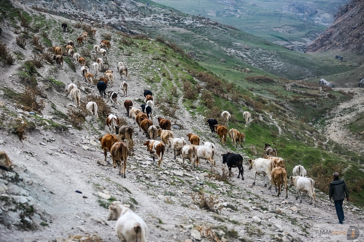 The village of Budug lies 50 kilometres away or two hours’ drive from Guba, a town in the north of Azerbaijan. Photos