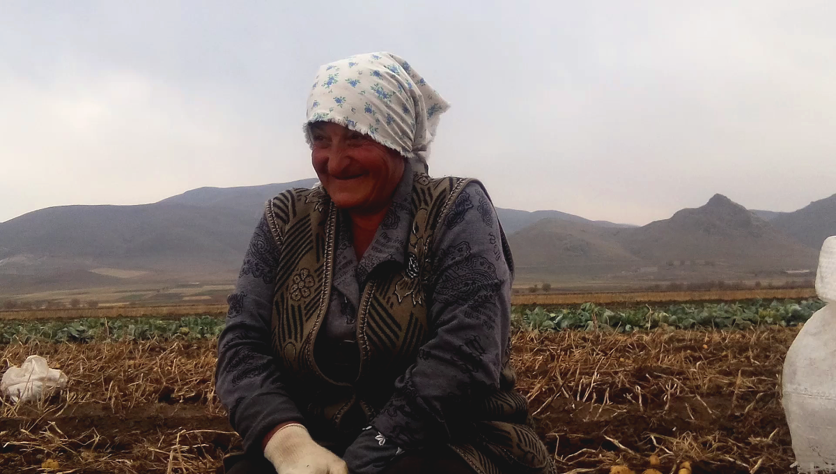 Collecting potatoes in Armenia