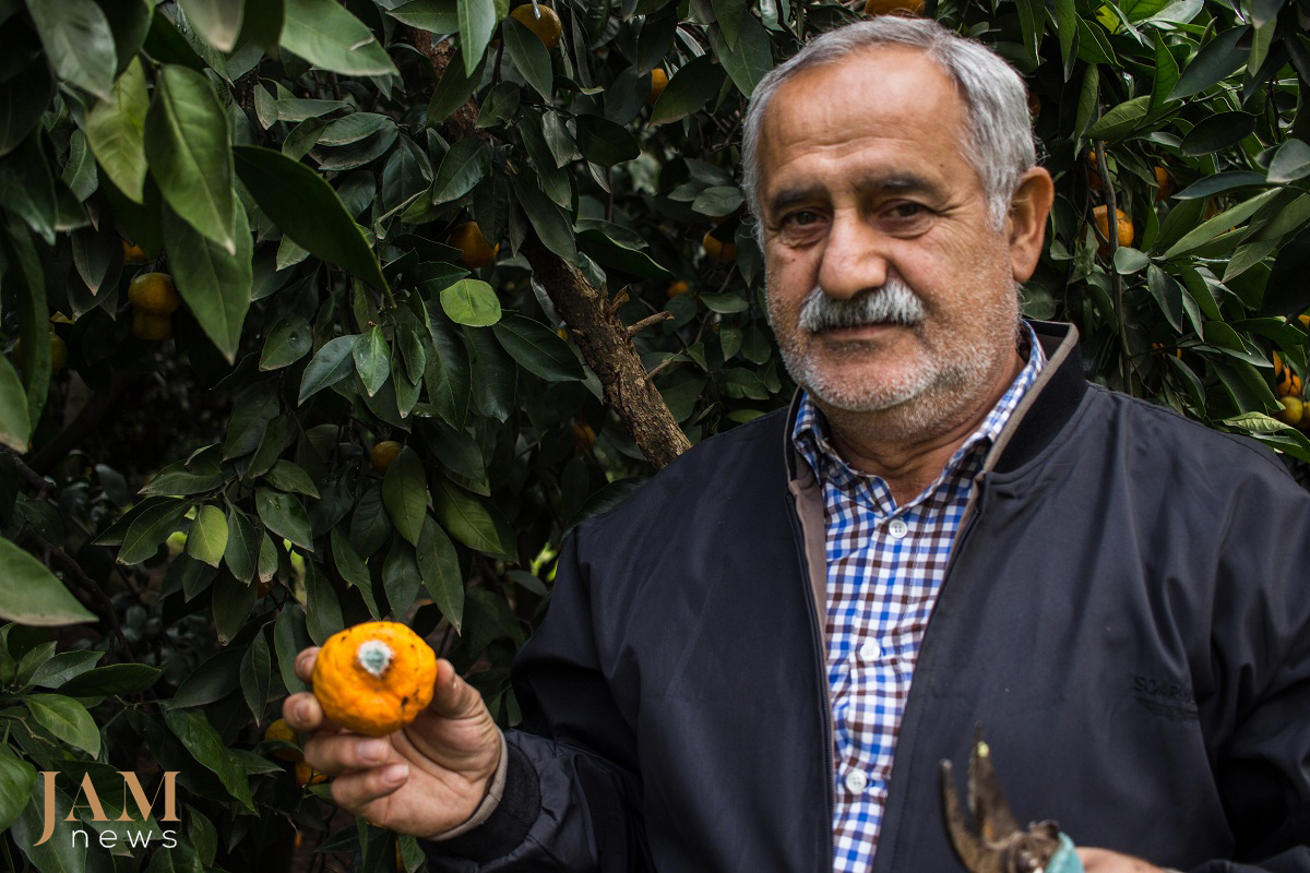 The South of Azerbaijan (Astara and Lenkoran) is known for its ‘exotic fruits