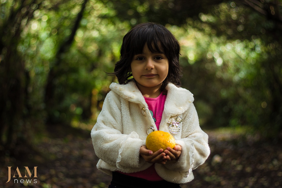 The South of Azerbaijan (Astara and Lenkoran) is known for its ‘exotic fruits