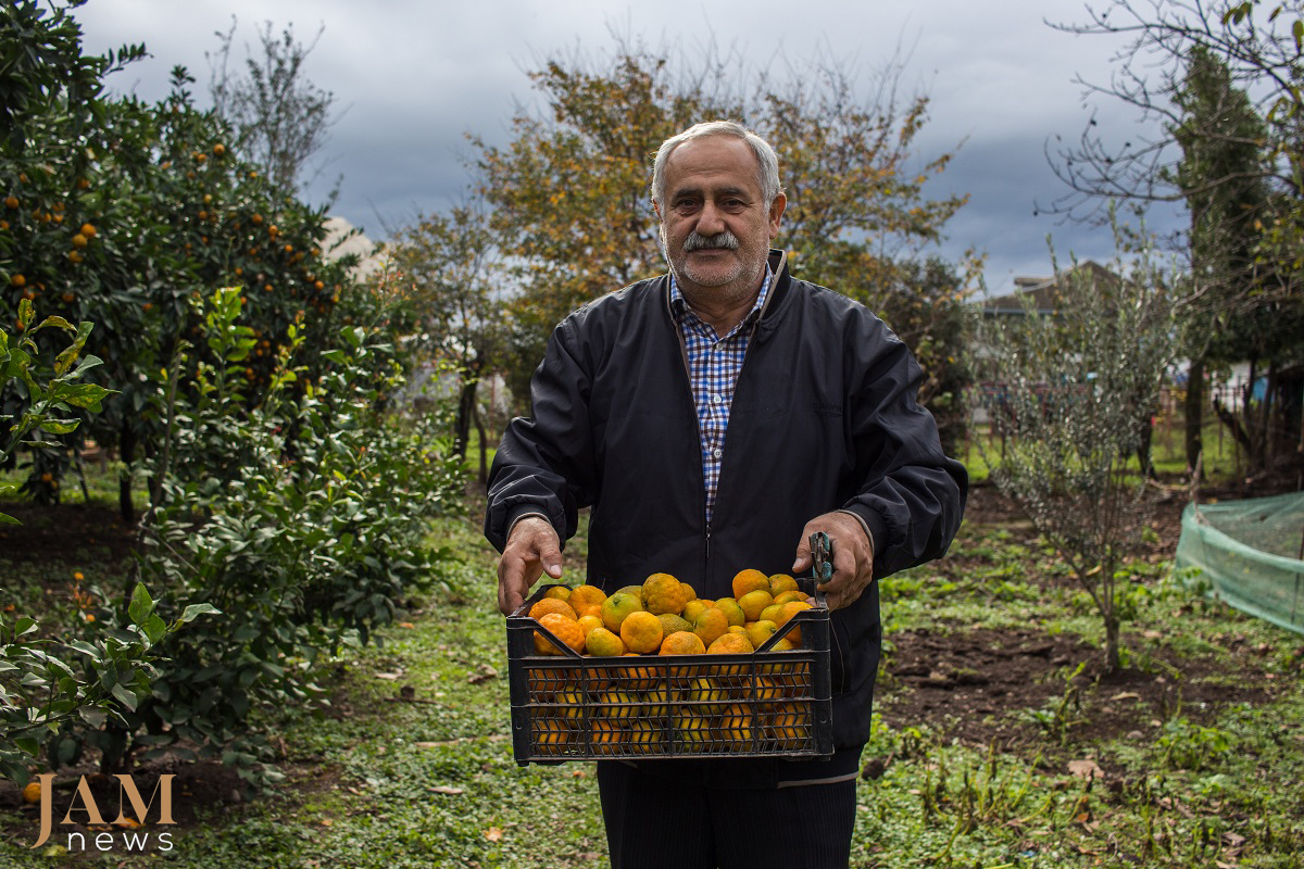 The South of Azerbaijan (Astara and Lenkoran) is known for its ‘exotic fruits