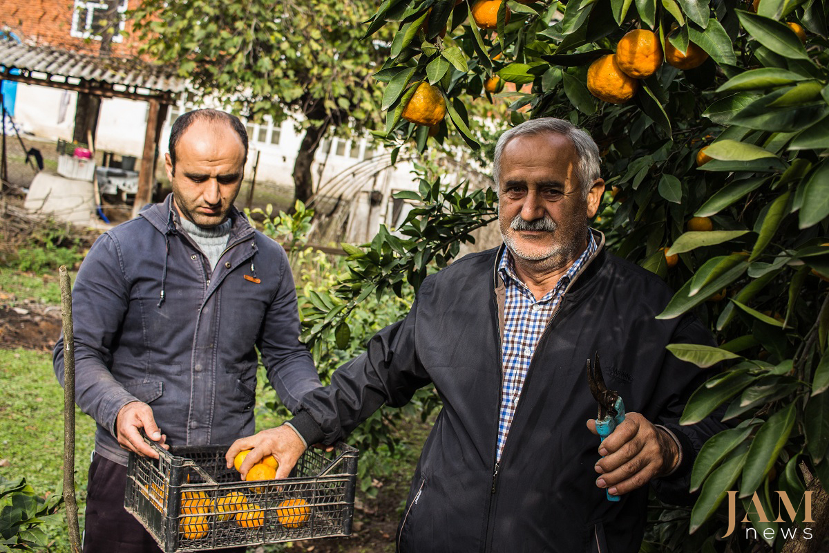 The South of Azerbaijan (Astara and Lenkoran) is known for its ‘exotic fruits