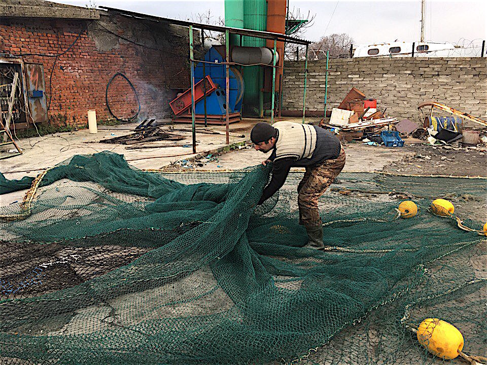 A serious problem is facing the Abkhazian economy: its fish populations along its shores are being decimated. 