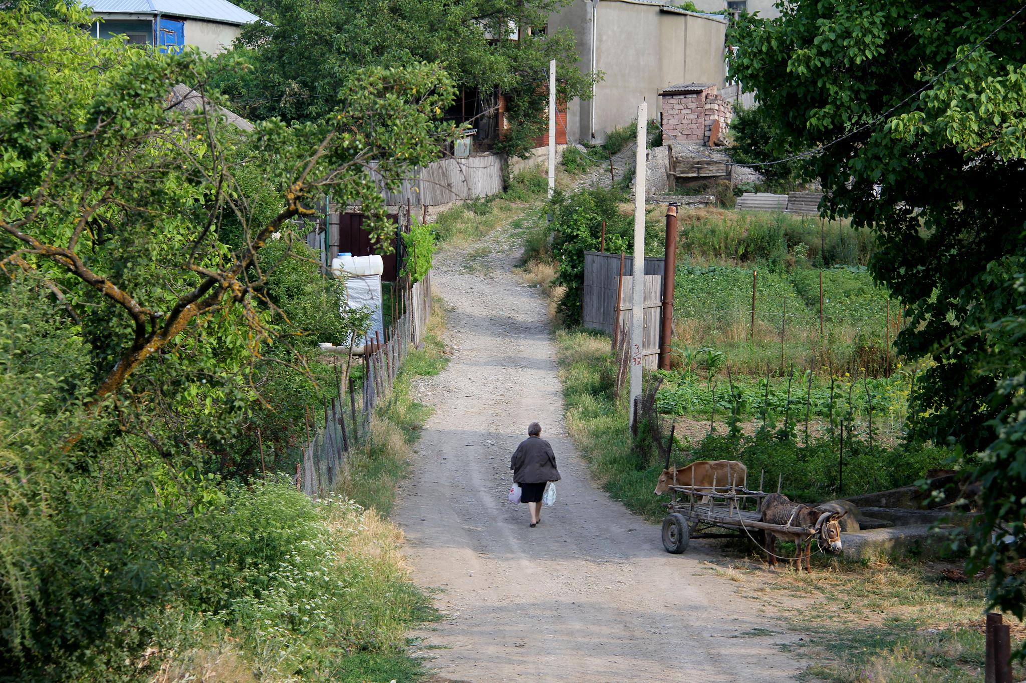 Life in Kartli - Margot Lescaut’s blog and photos