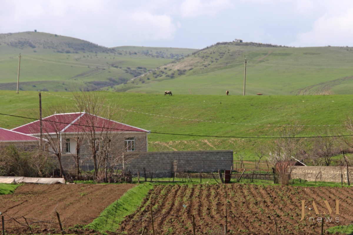 This region is the largest supplier of agricultural products to the Georgian market. Photo: David Pipia, JAMnews. Landmines on the Georgian-Azerbaijani border.