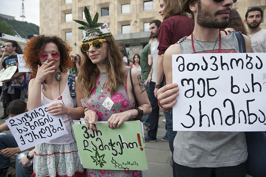Грузия легализация марихуана выращивание марихуаны на балконе