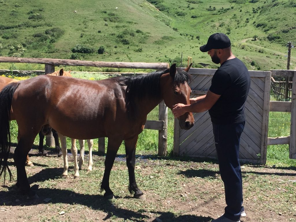 agro-revolution in the villages of Armenia, Drahtik, Semenovka, dream village Drahtik, new Semenovka, Kalavan, Gegharkunik region, Robert Ghukasyan, Prime Minister Nikol Pashinyan, Mais Margaryan, agritourism, hiking, Lake Sevan,