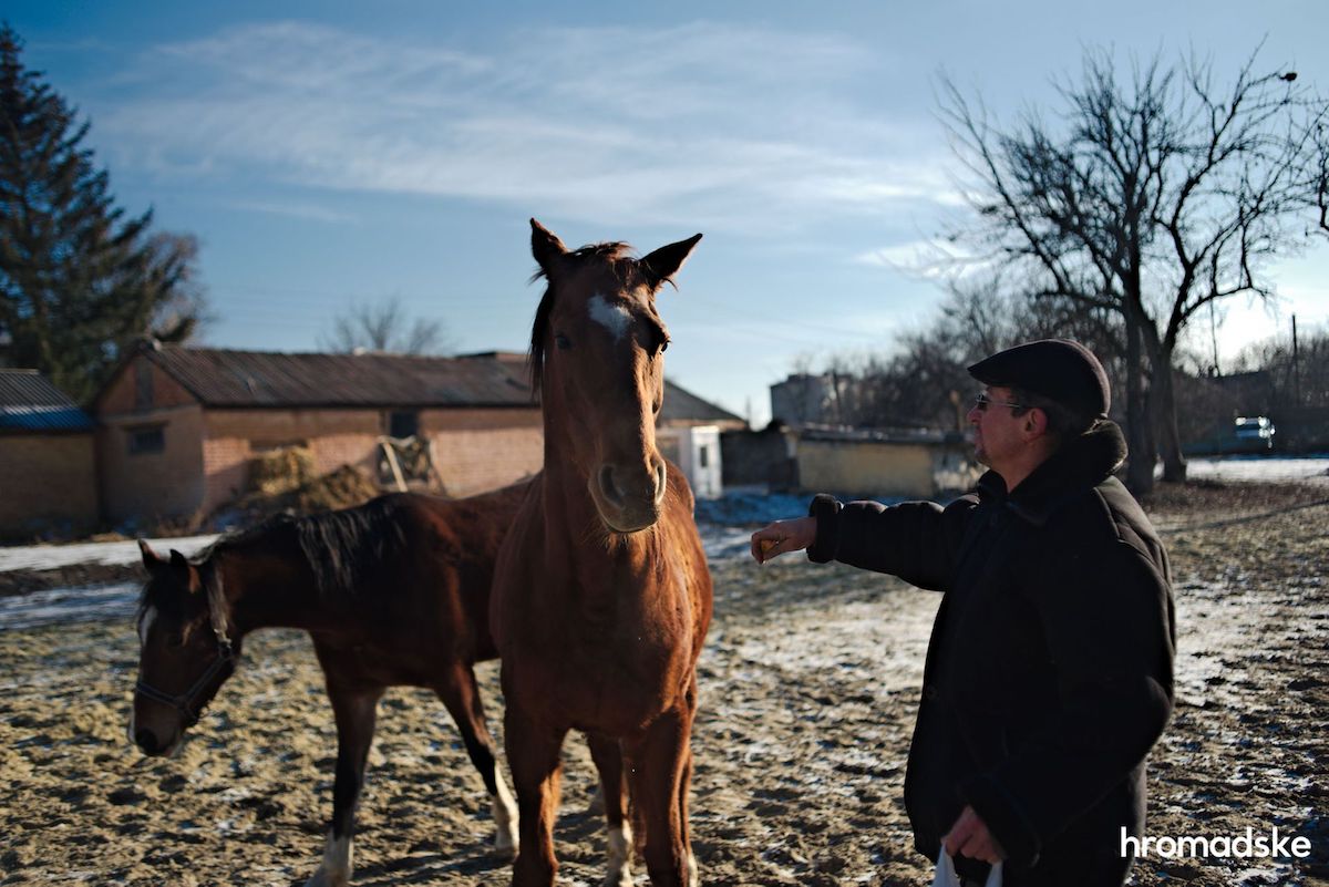 Украина: война и лошади - JAMnews