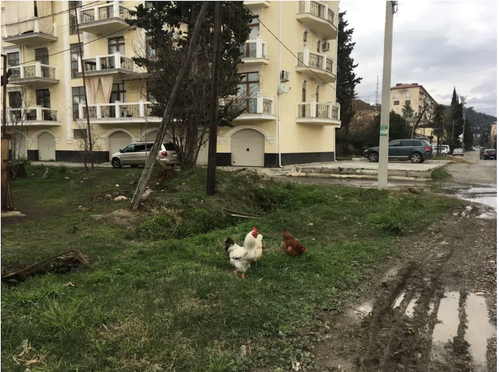 სოხუმი, ქალაქის ცენტრი. ფოტო: ირინა ტუმაკოვა/"ნოვაია გაზეტა"