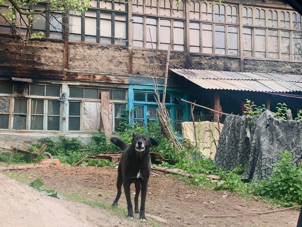 Velebi - hidden Georgian-Ossetian village 