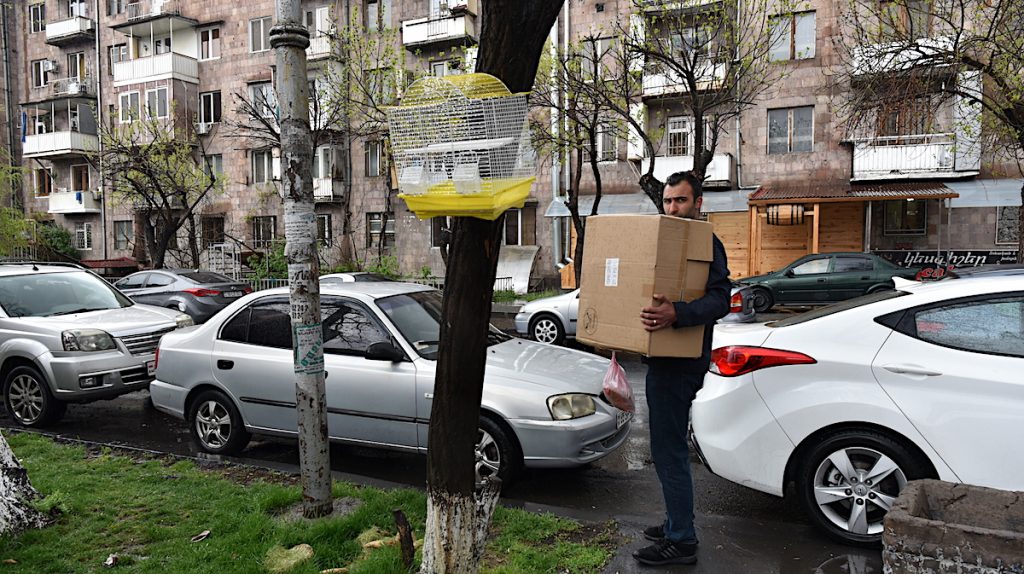 Армен Акопян продает рыбок и аквариумные аксессуары в Степанакерте