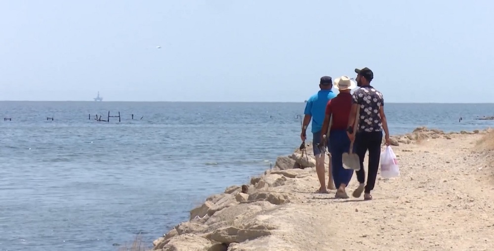 dead fish on Baku beaches