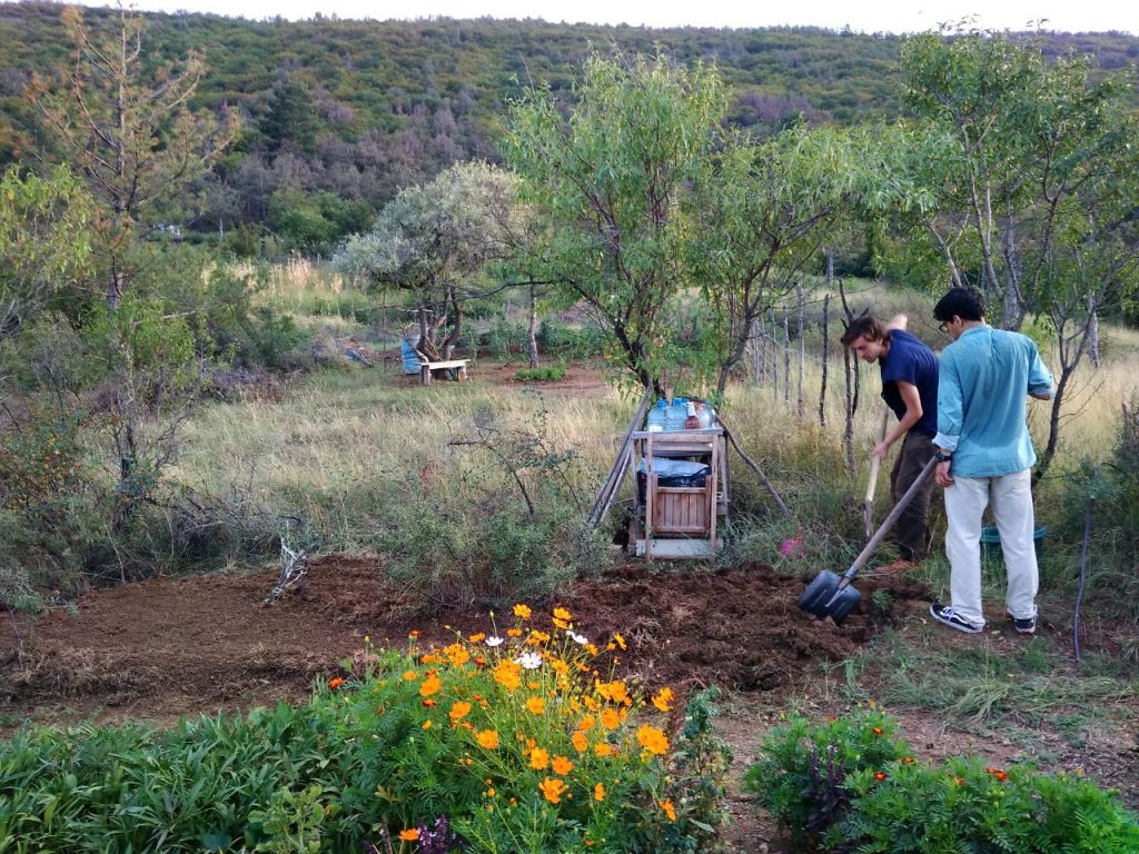 Community gardening