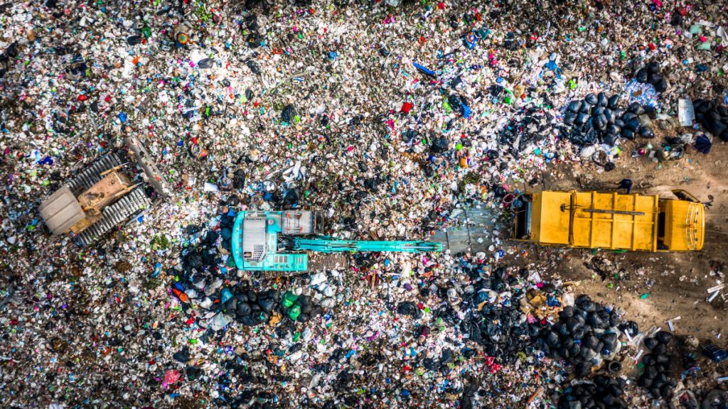 waste sorting in Georgia