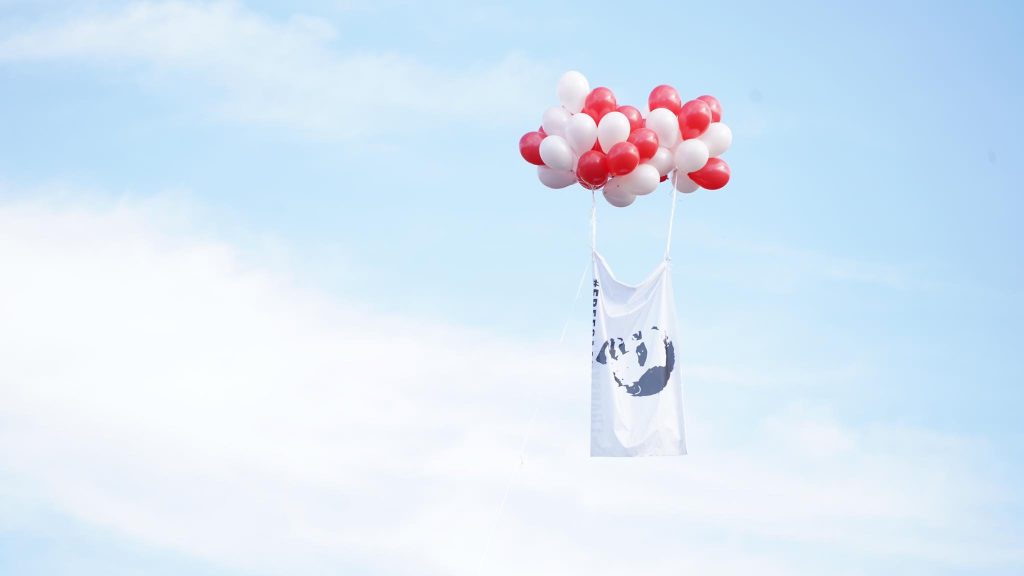 Протестующие запустили в воздух воздушные шары - «Свобода Миша».  Фото : Давида Пипиа / JAMnews. Михаил Саакашвили на суде
