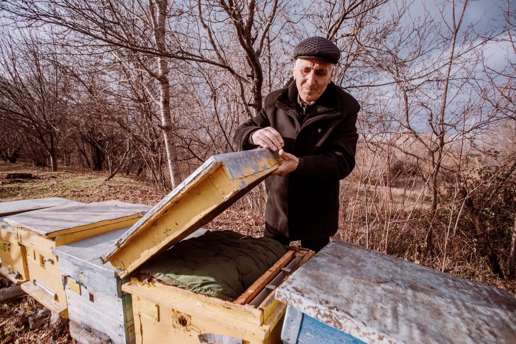 Пчеловодство только маленькая часть хозяйства Джамшида Кулиева. Фото: Эмиль Аббасов. Фермер-кришнаит из азербайджанского села