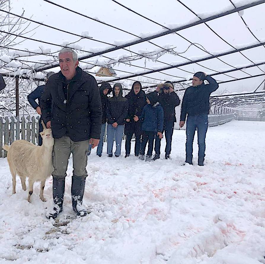 Жертвенный козел в день сотворения мира - Ажьырныхуа в Абхазии