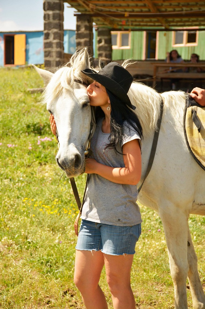 animal shelter in Armenia