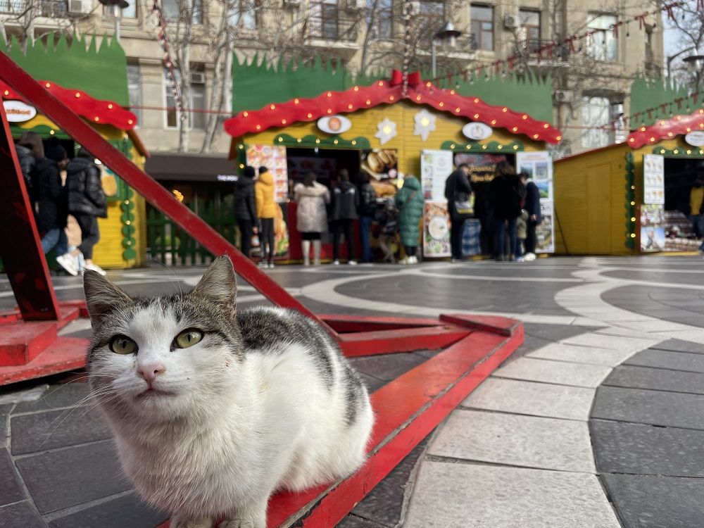 Azerbaijan celebrates Novruz