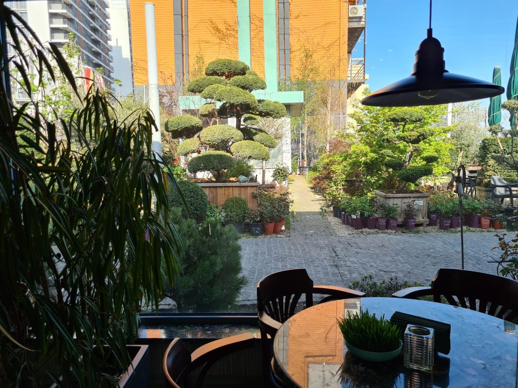 Вкусно поесть в Грузии: Кафе "Верде". Особая еда и атмосфера в старом городе в Тбилиси. Путеводитель для туристов: отели, рестораны, развлечения
