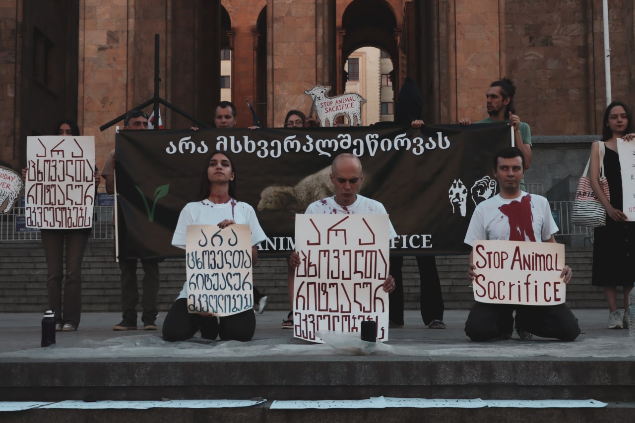 Activists against religious animal slaughter were detained in Tbilisi