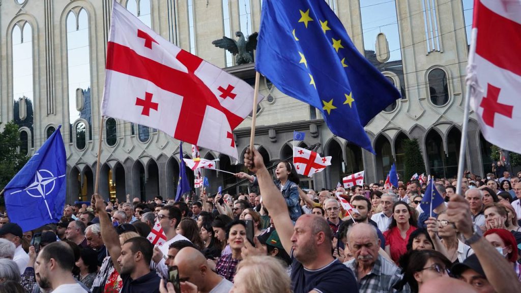 Protesters in Tbilisi demand Prime Minister's resignation