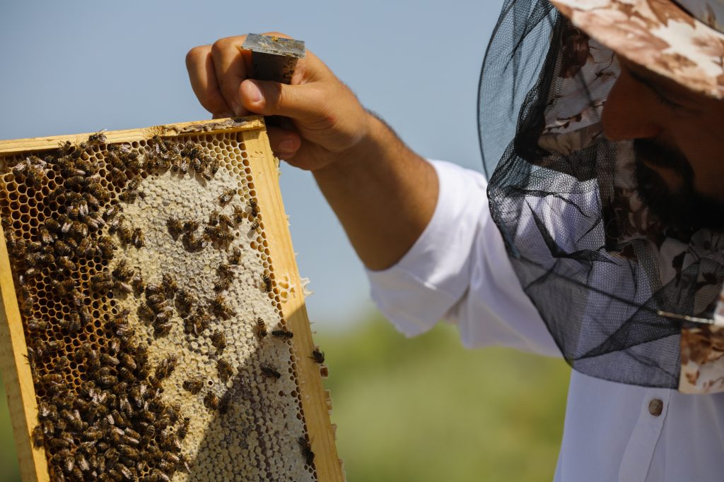 Beekeeping in Azerbaijan