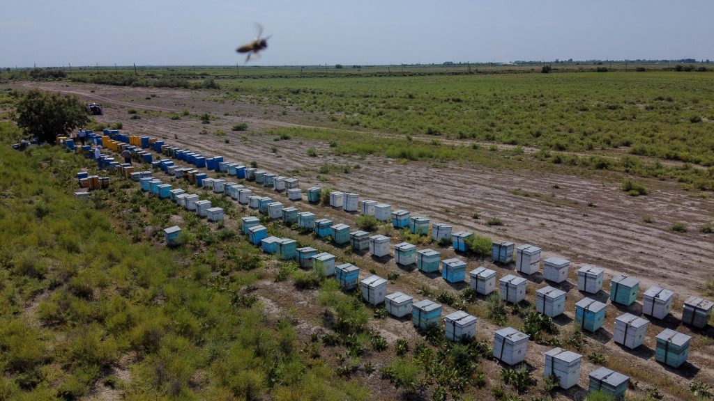 Beekeeping in Azerbaijan