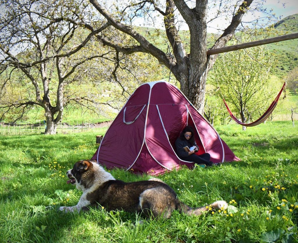 Некоторые туристы предпочитают отдых в палатках