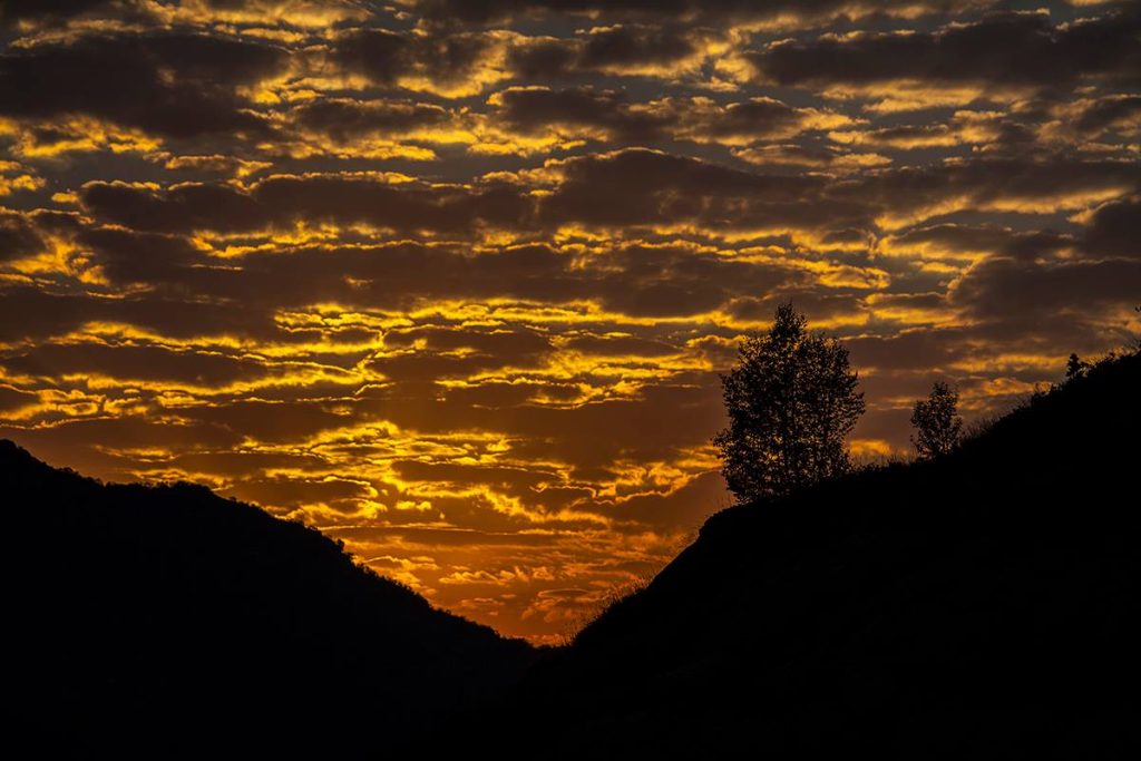 In the mountains in Abkhazia. Tengiz Tarba Photos