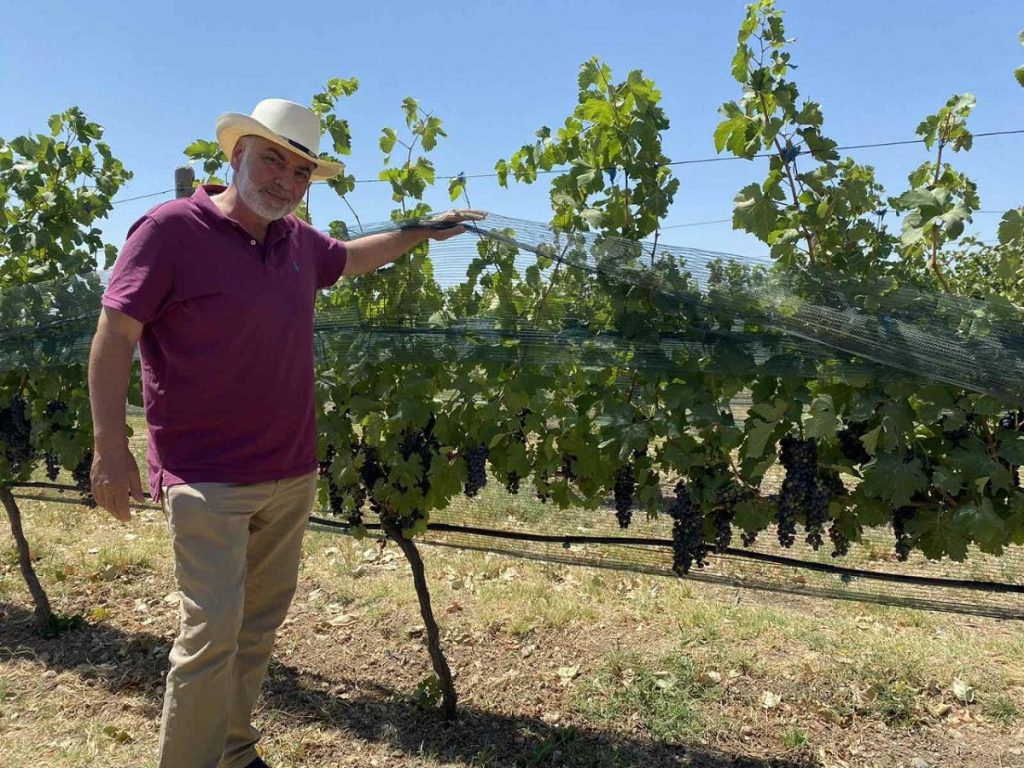 Production of quality Armenian wines
Varuzhan Muradyan