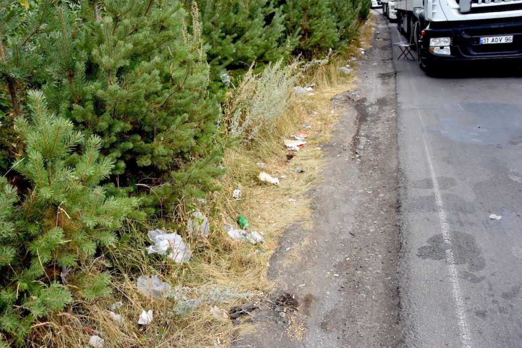 Арарат Марабян из села Сулда в Грузии говорит, что транзитная дорога не принесла местным жителям никакой пользы, только убытки. Смотрите, весь район завален мусором. Что получили - километры мусора в лесополосе. 