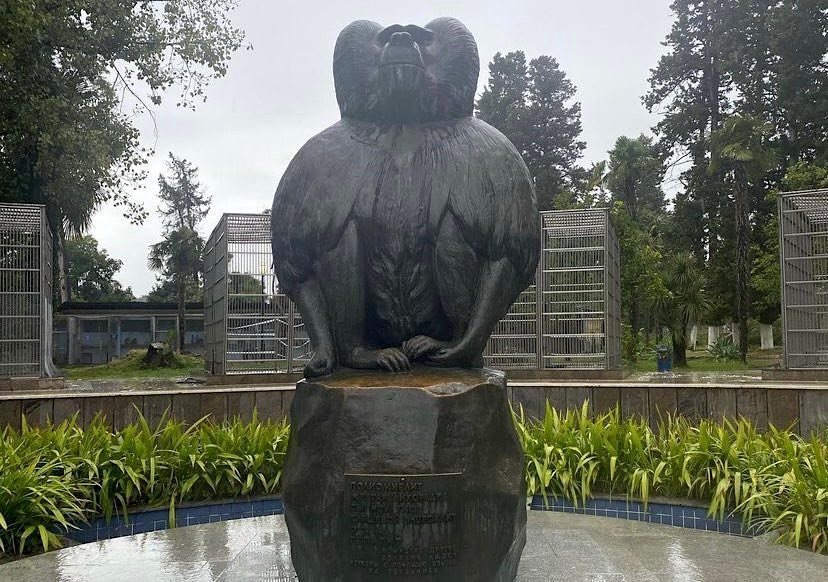  Единственный в мире памятник обезьяне в питомнике в Абхазии