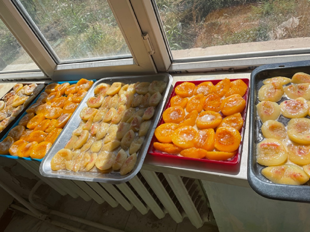 Dried fruits prepared by schoolchildren