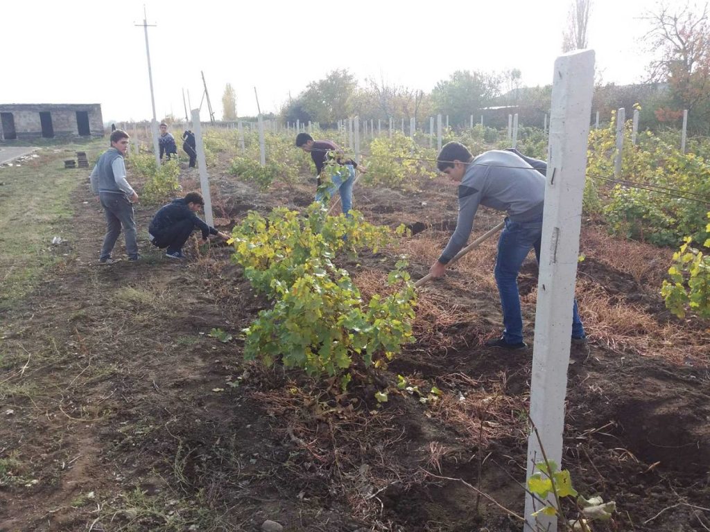 Schoolchildren work in the garden after school