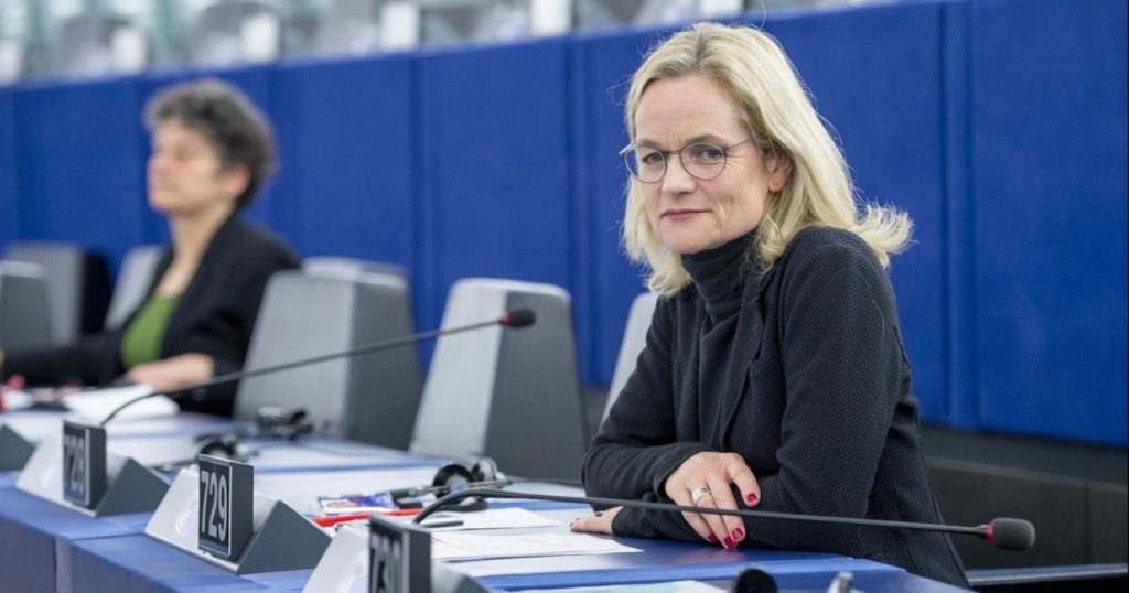 European parliamentarians called for sanctions against Ivanishvili and the ruling party MPs. Viola von Cramon