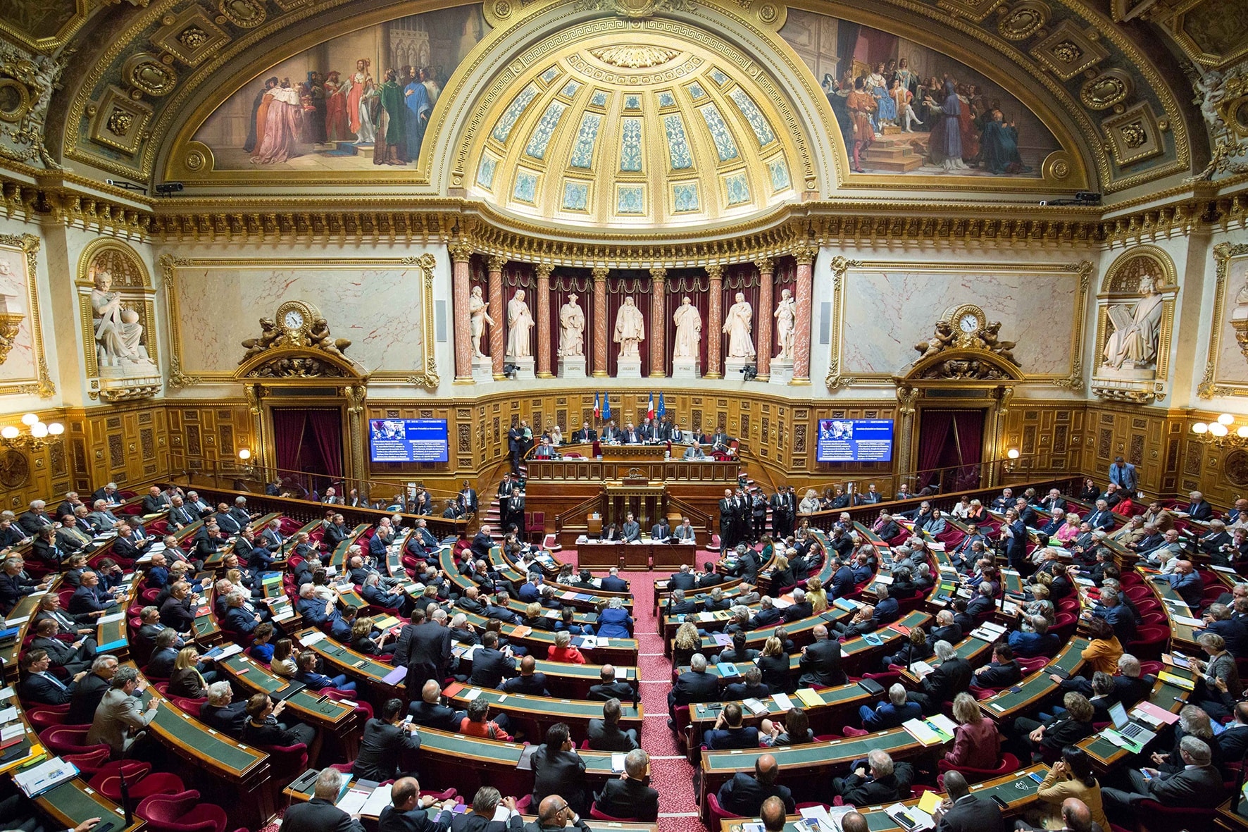 Resolution of the French Senate