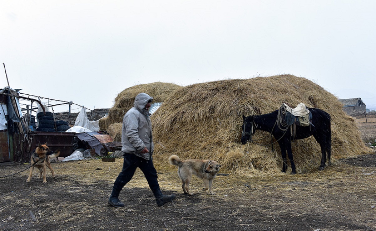 New Armenia-Azerbaijan border