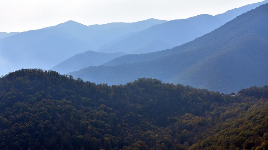 Forests of Mtnadzor, part of which is now under Azerbaijani control