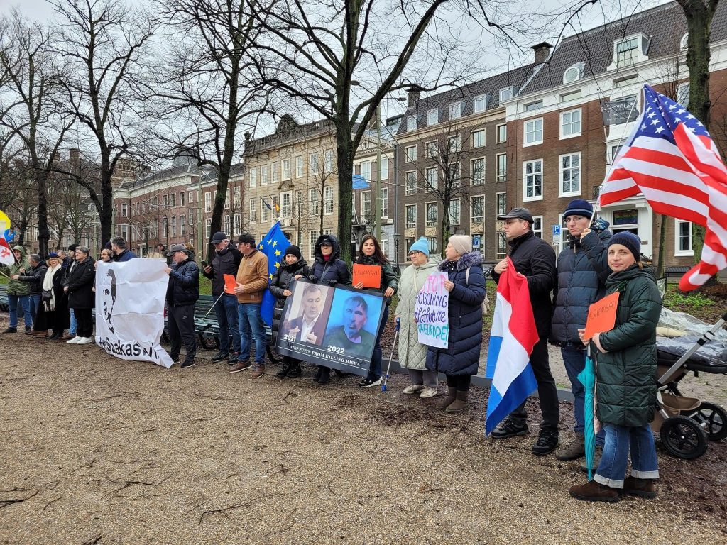 Акция солидарности Саакашвили.Гаага, Нидерланды